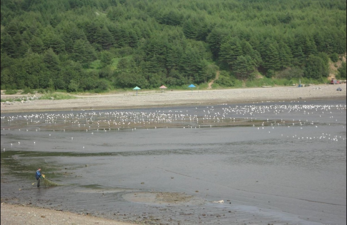 Фото: Рыбалов-любитель на берегу / Со страницы отзыва туристки