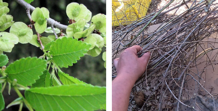 Материал для гнезда