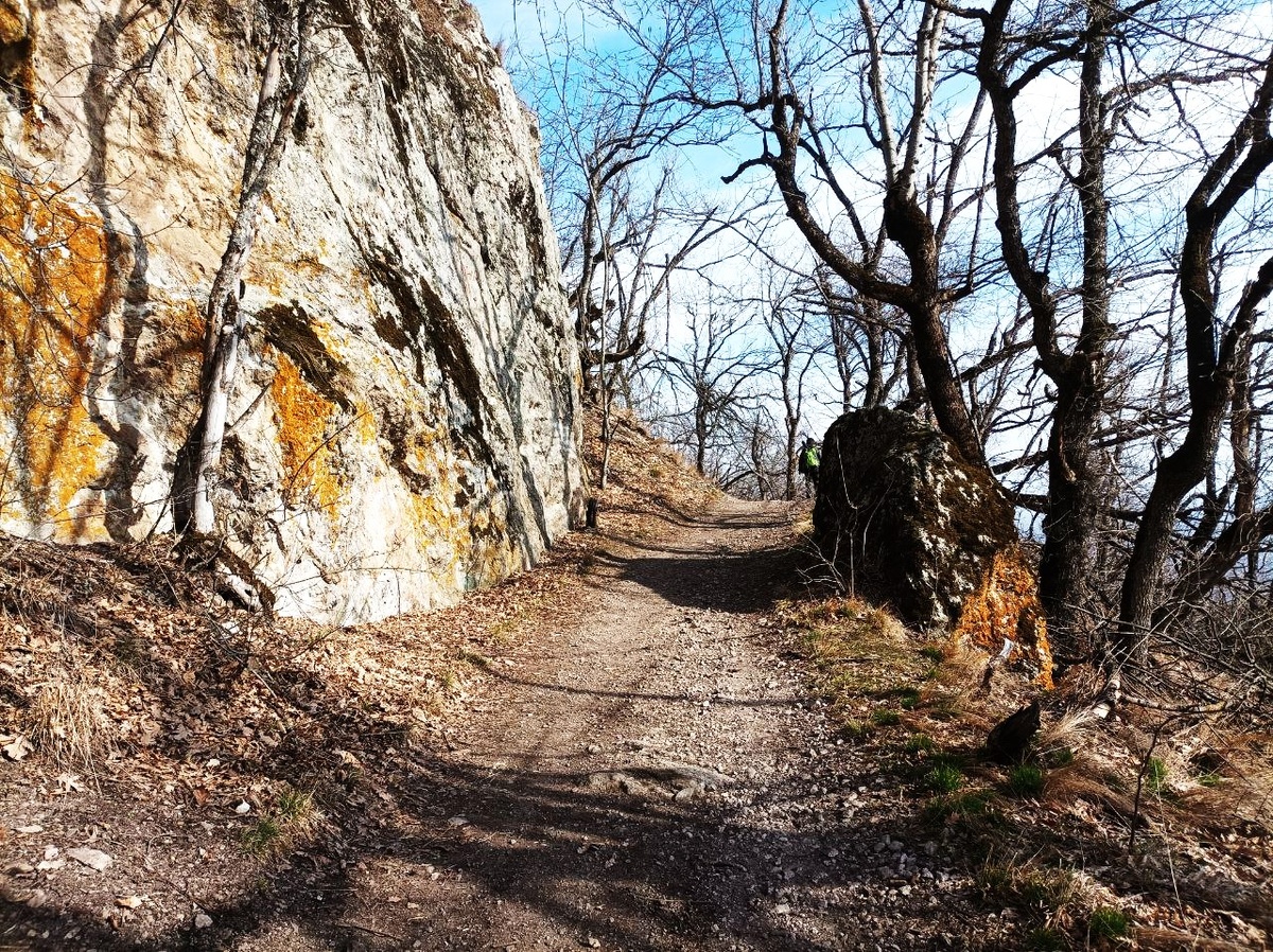 Бештаугорская кольцевая