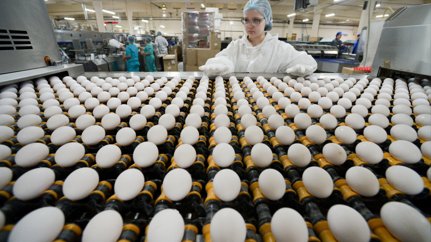    Фото: © РИА Новости/