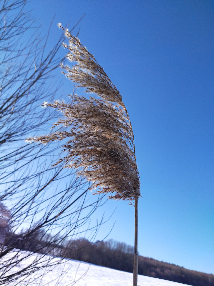 Личное фото