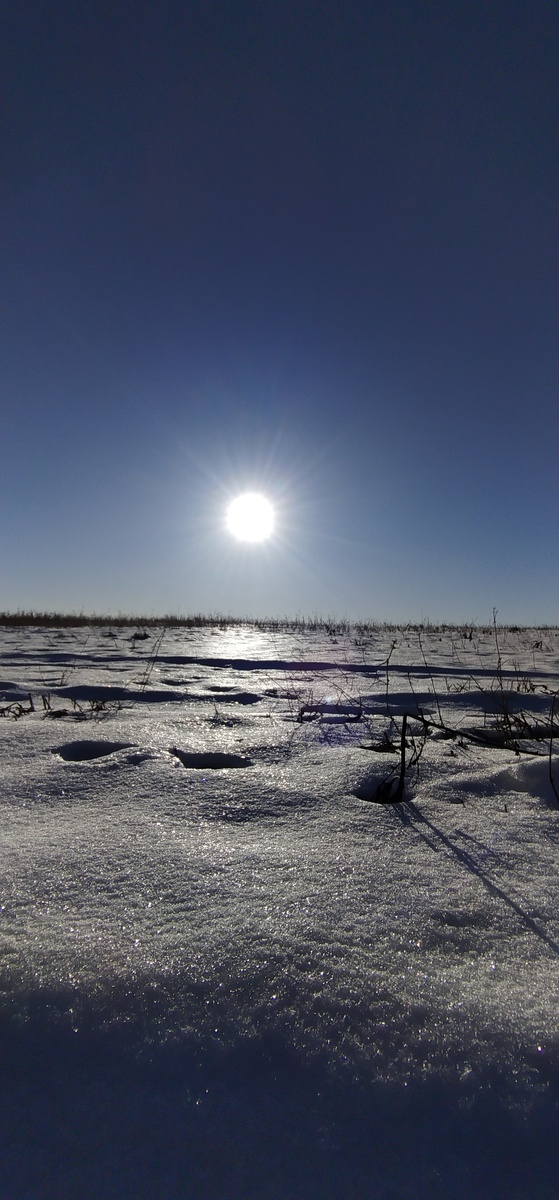 Личное фото