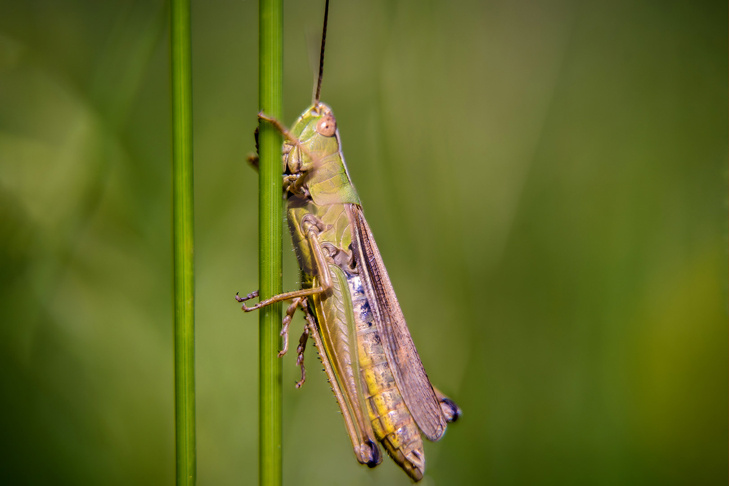    Фото Андрея Заржецкого