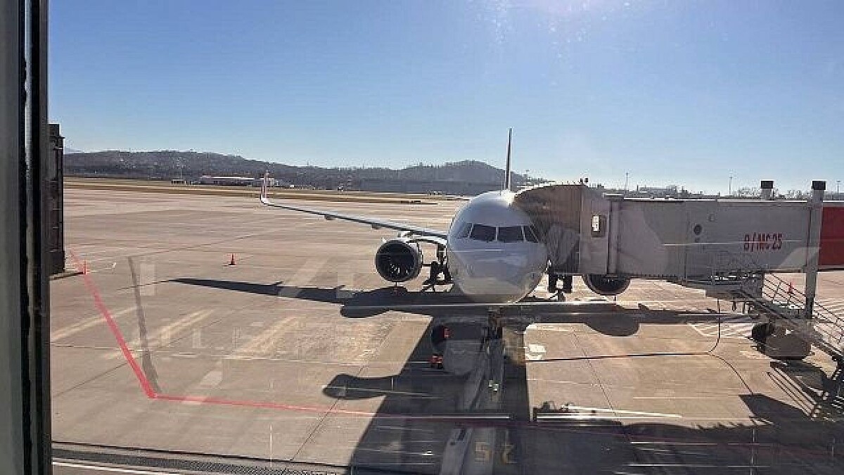    Фото: телеканал «Краснодар»