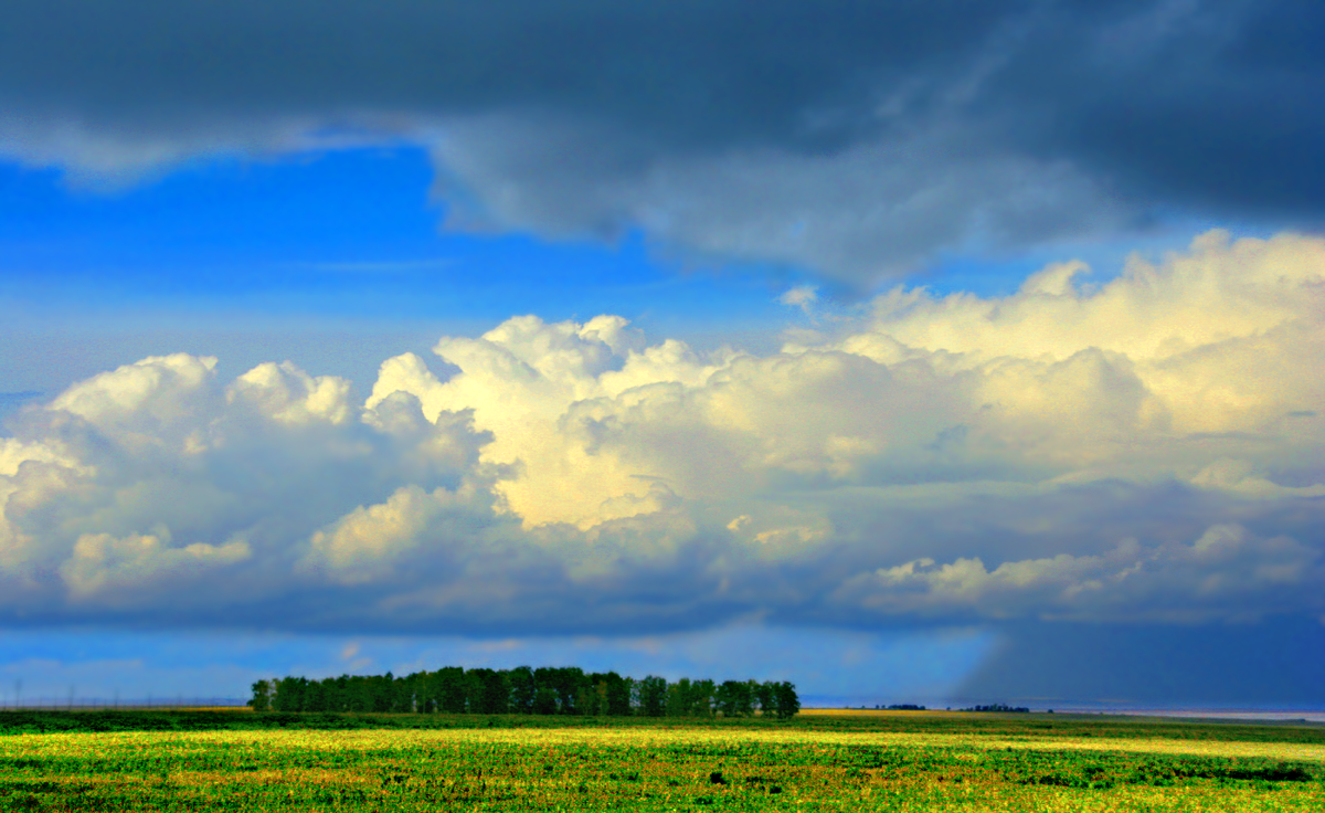 Фотография, стихотворение Василия Глуцкого