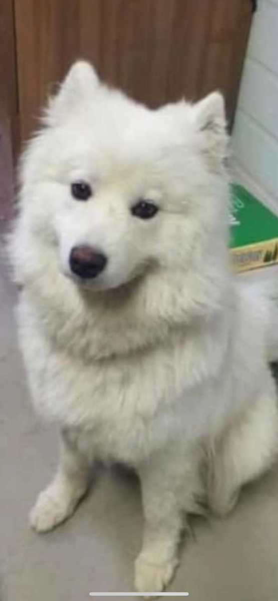 Осчастливлю Вашу семью ❤️