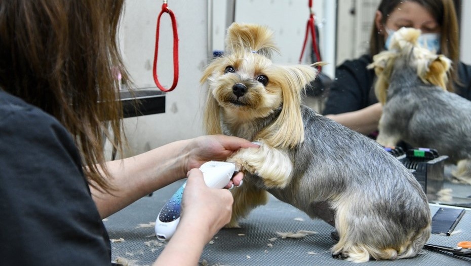    Автор фото: Агентство "Москва"