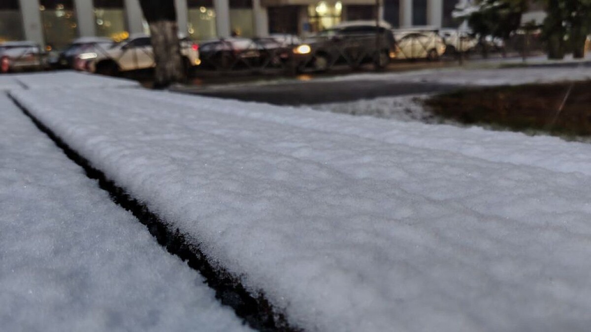    фото: телеканал «Краснодар»