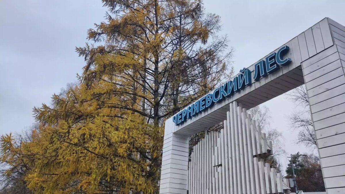     Источник: properm.ru