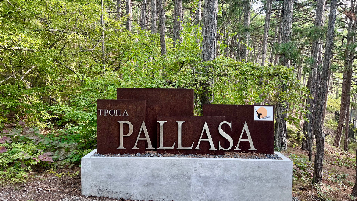 Начало тропы Палласа, Ялта