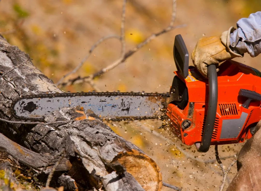 Картинка из интернета 