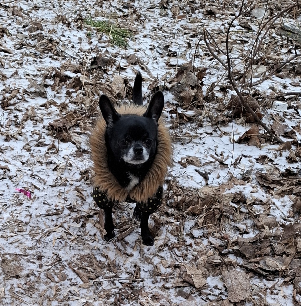 Фото автора.