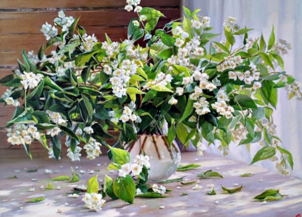 ��������  ����������� : vk.com� � ������ �������� .