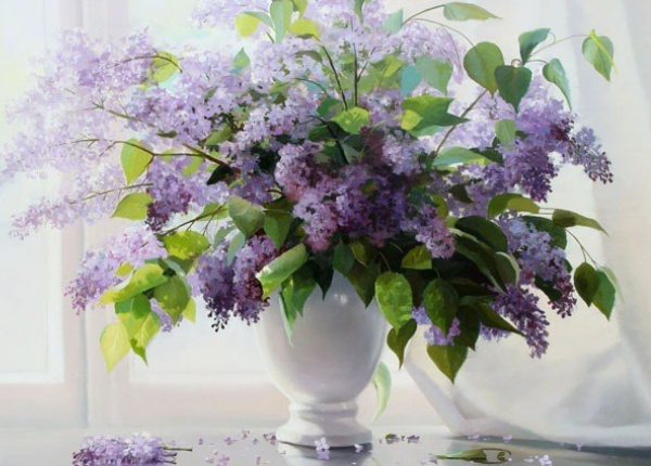 ��������  ����������� : vk.com� � ������ �������� .