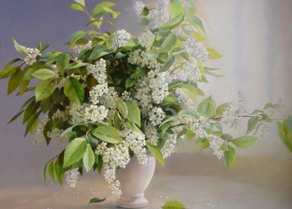 ��������  ����������� : vk.com� � ������ �������� .