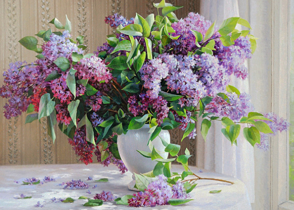 ��������  ����������� : vk.com� � ������ �������� .