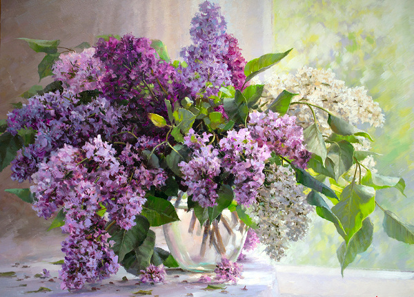 ��������  ����������� : vk.com� � ������ �������� .