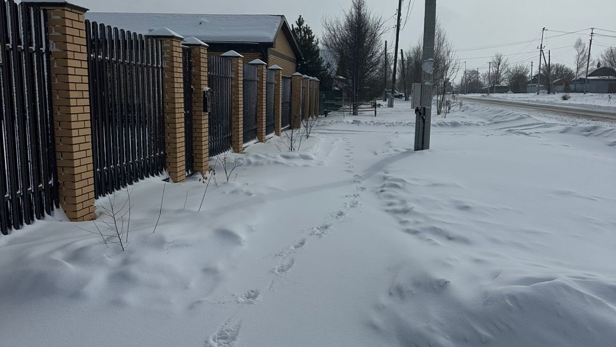     Источник: vostokmedia.com