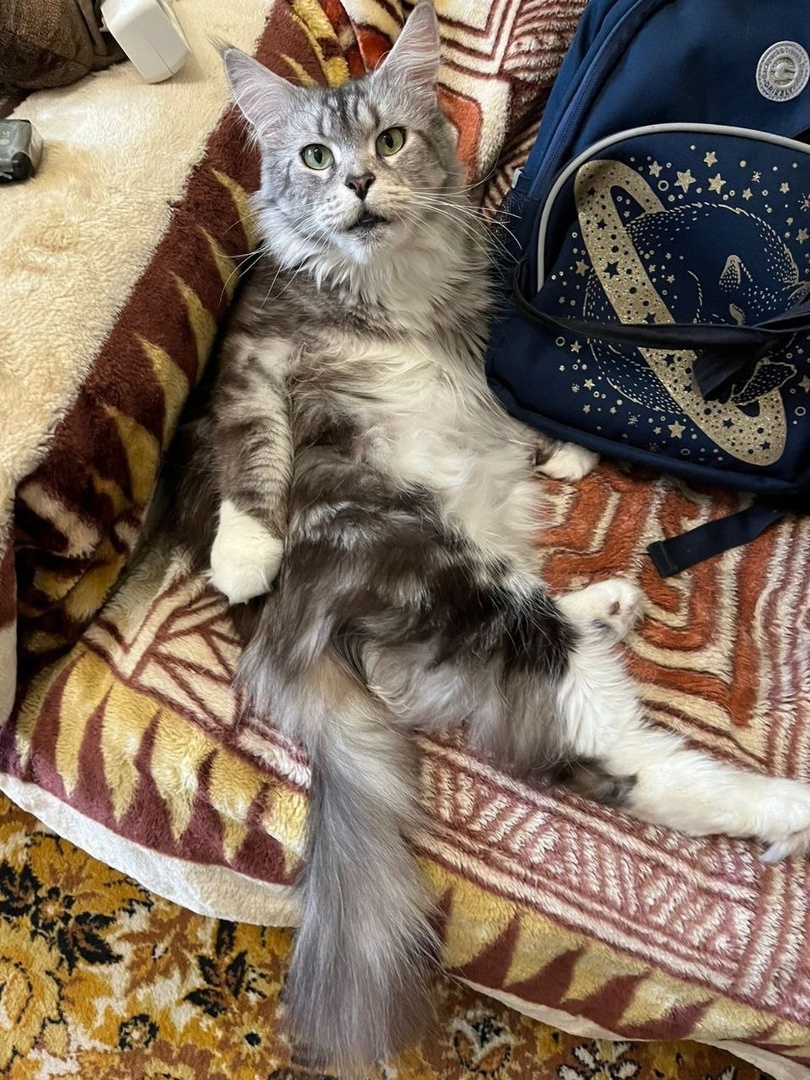 Обожаемая для своих родителей!