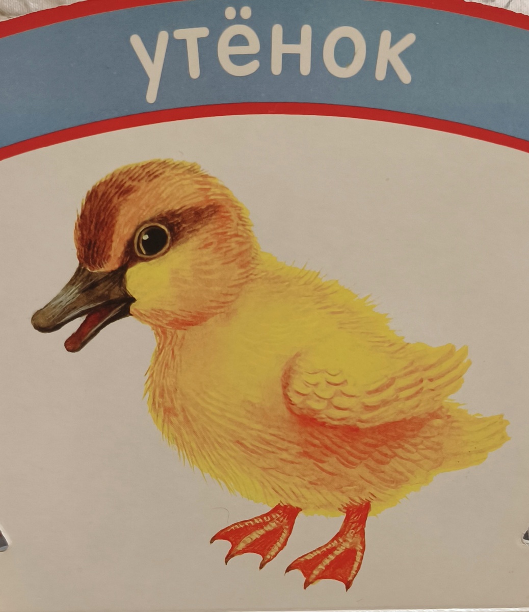 Тут только утка, что тут рассказывать? Всё по пунктам 1, 2, 3 и 8.  Вкратце: это утёнок, он жёлтый, у него есть голова, глаз, ноги, крылья; как утёнок машет крыльями? - вот так; утёнок любит плавать, купаться, смотри, какие у него широкие лапы, ими удобно грести; когда подрастут его крылья, он научится летать, и будет летать высокоооо в небе... ("Животные", худ. К. Павлова, изд. "Лабиринт Пресс", серия "Неваляшки-погремушки")