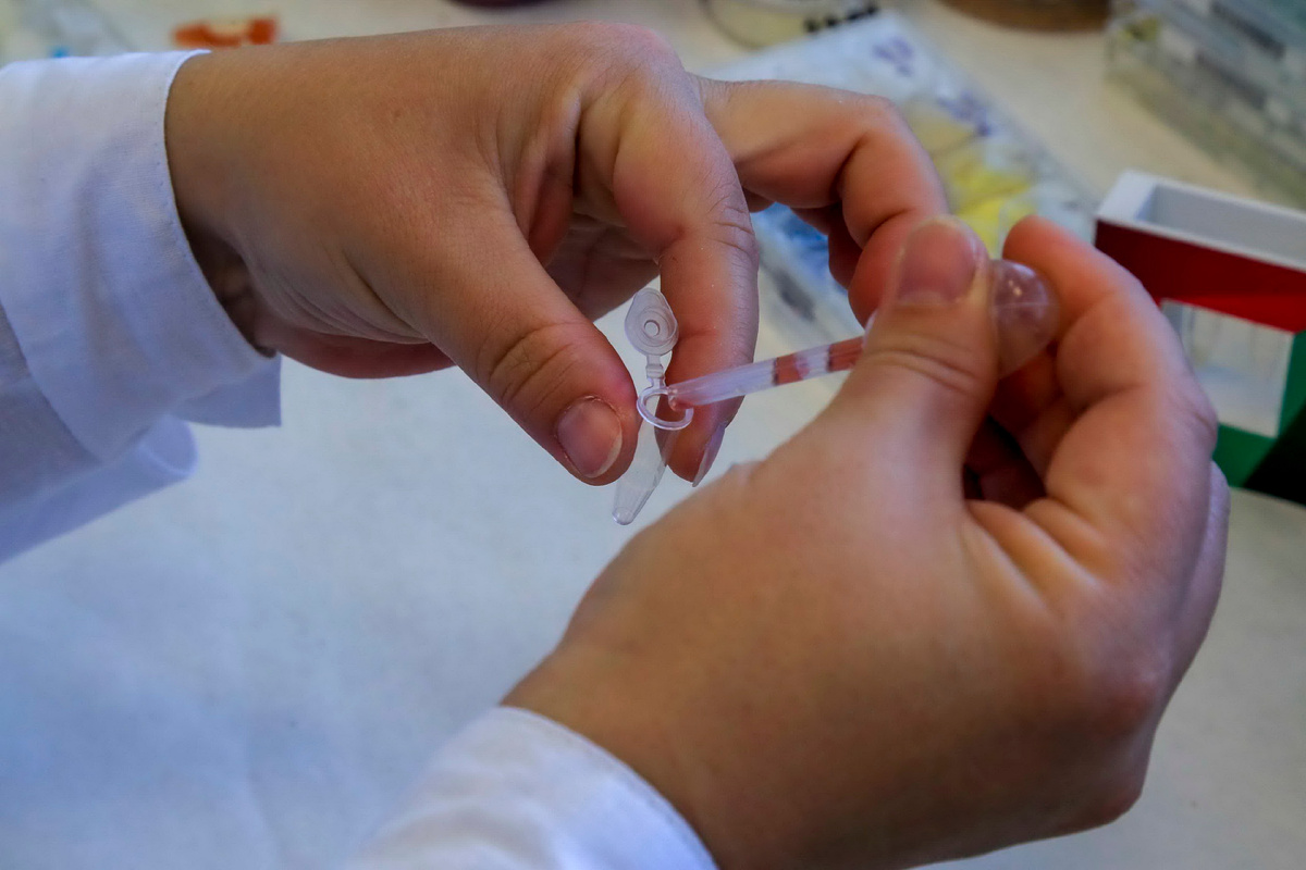 Фото: Павел Комаров, nsknews.info