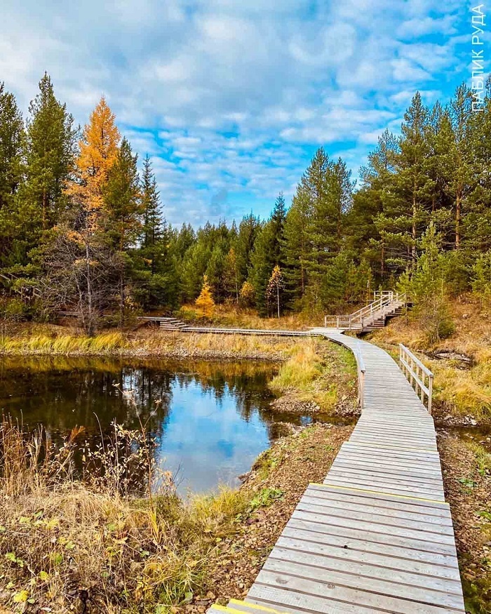 Экотропа «Авроринская». Автор: Виктория Мельникова, паблик «Руда» / ВКонтакте