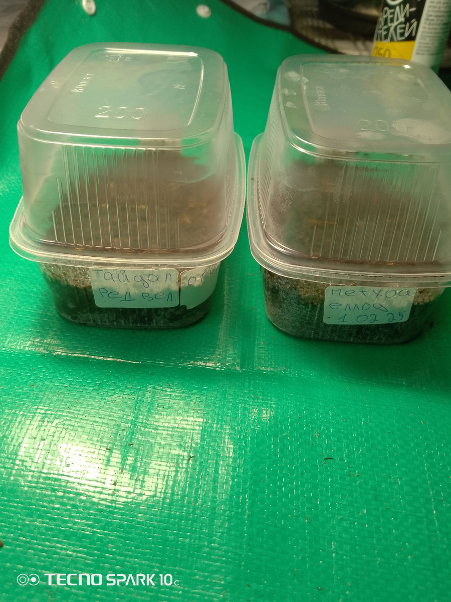 Вот такие мини рарнички получились. 