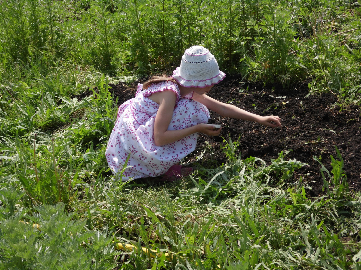 Первый смешной огородик в первый год , кругом бурьян.