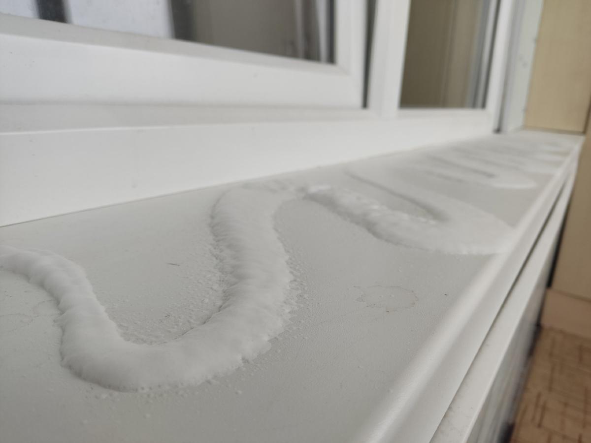 "Змея" на подоконнике!