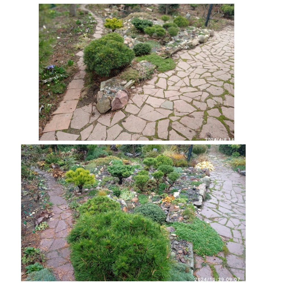 коллаж автора