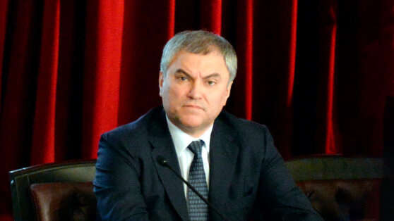    Володин рассказал о дальнейших планах по ужесточению миграционной политики Алина Городниченко