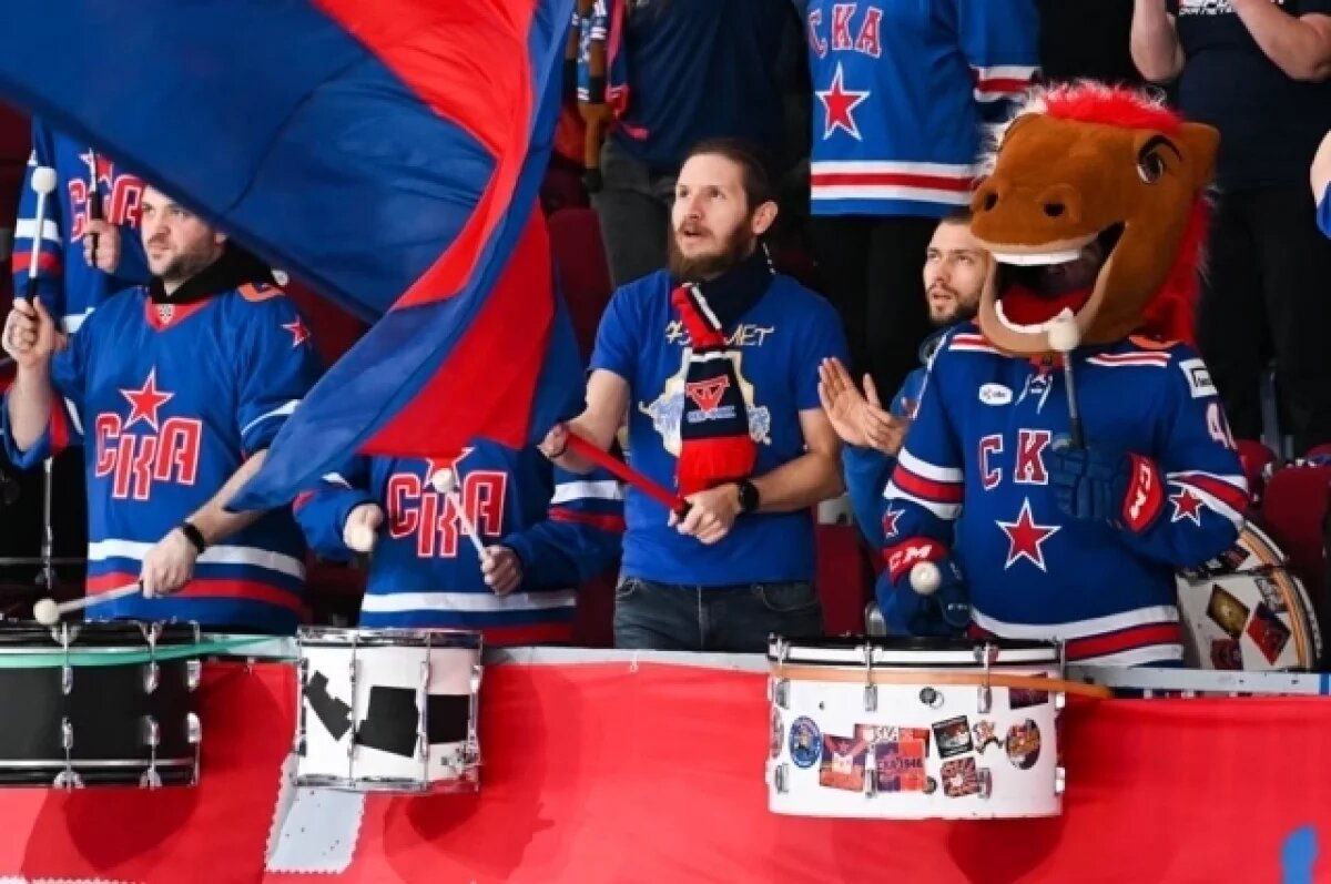    В Петербурге на «СКА-Арене» оштрафовали болельщика за выходку его сына