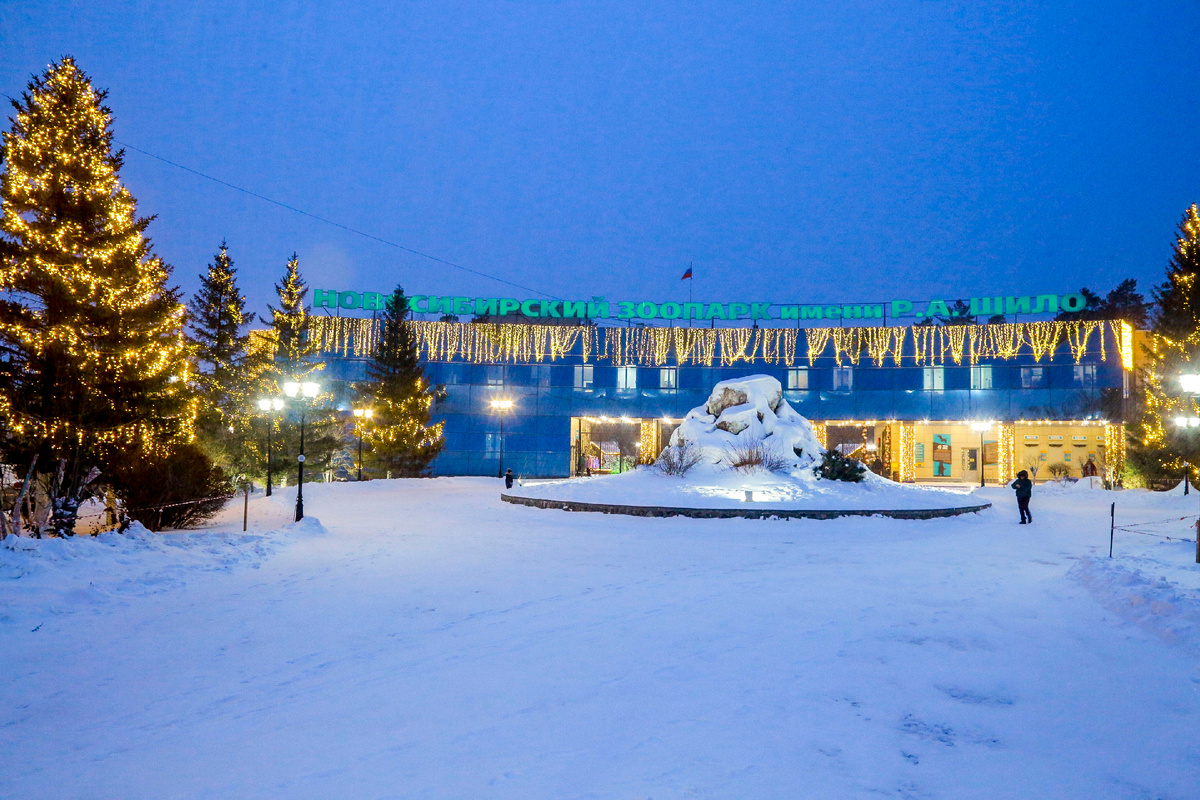 Фото: nsknews.info