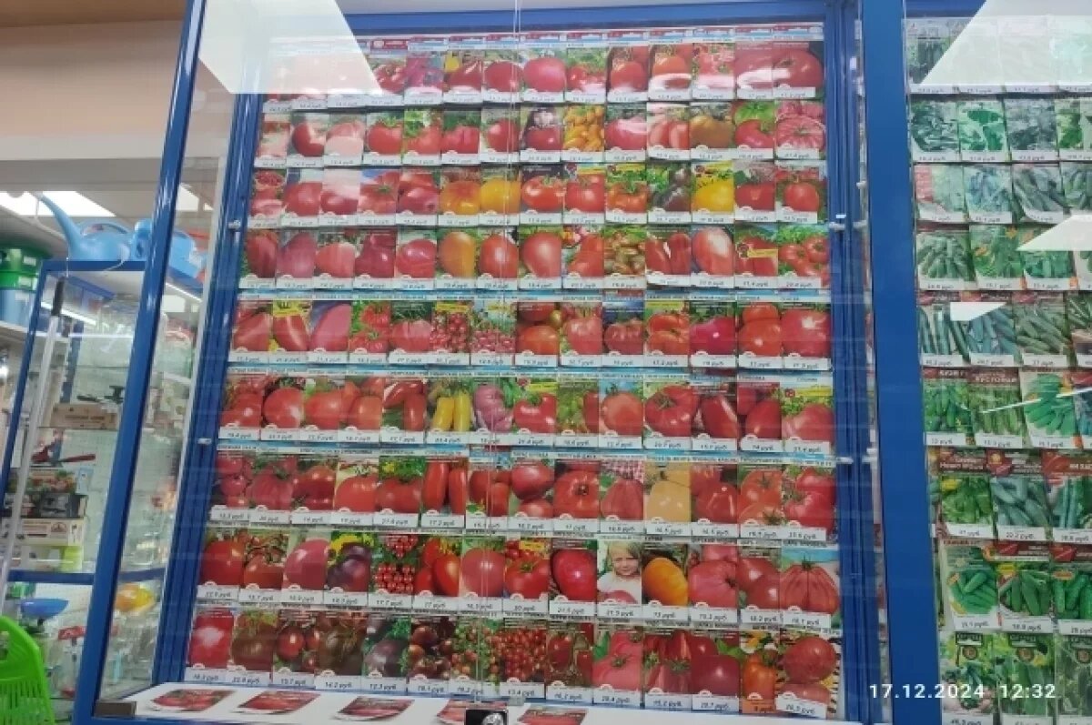    В Россельхознадзоре рассказали, как правильно выбрать семена томатов