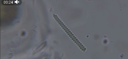 Источник: https://t.me/c/2016167549/36313