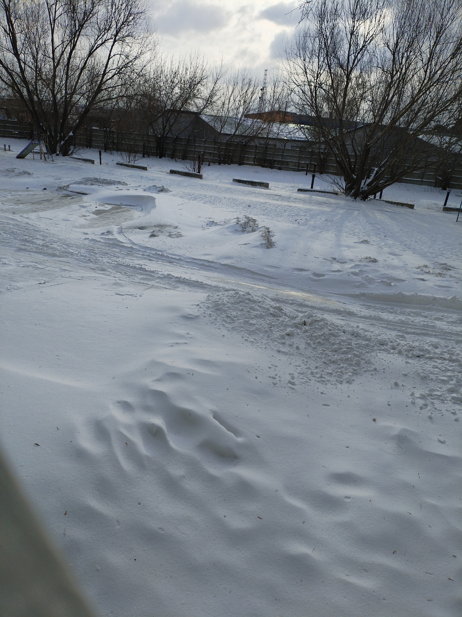 И весь день ветер.