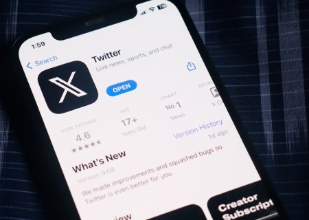    Мизулина призвала разблокировать соцсеть X. Депутат Боярский против