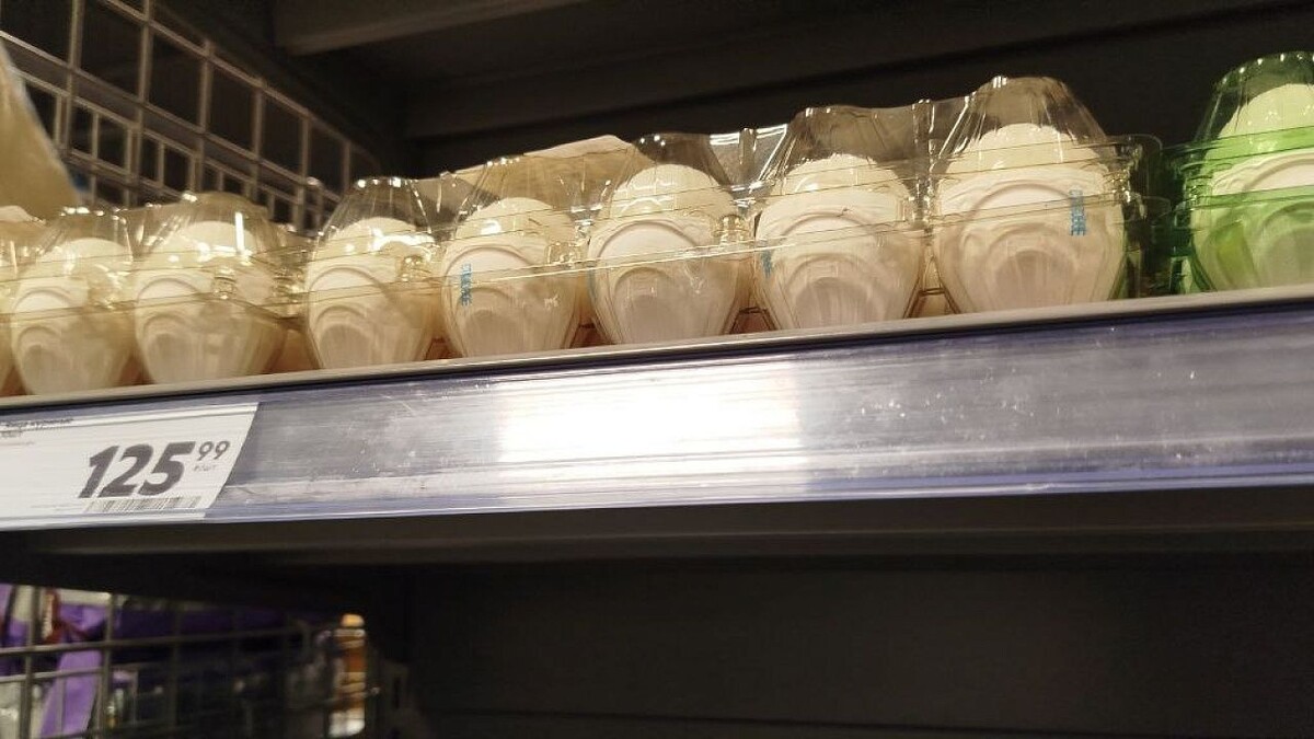    Фото: телеканал «Краснодар»