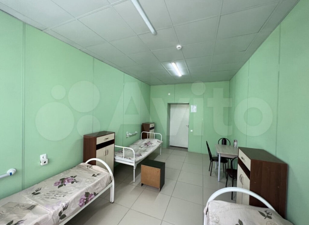    Фото: Авито Алена Калашникова