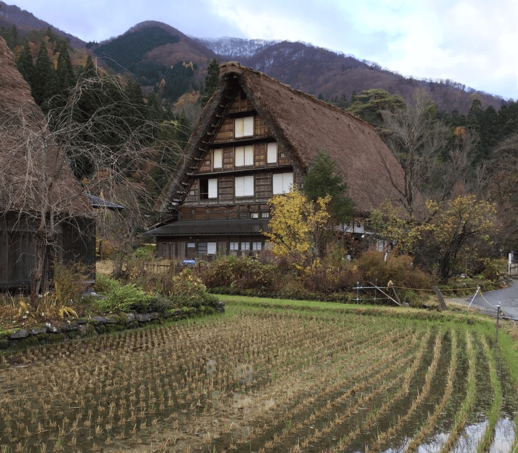 Дом минка. Photo by bryansjs