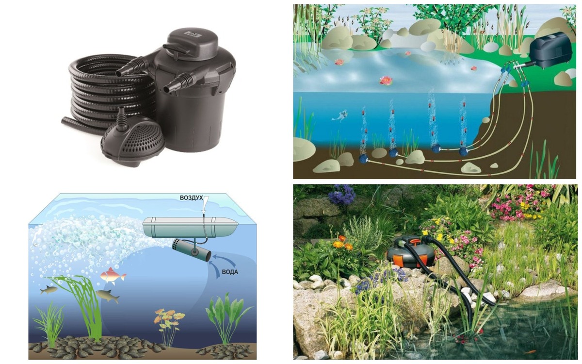 Фото из открытых источников Яндекс картинки.