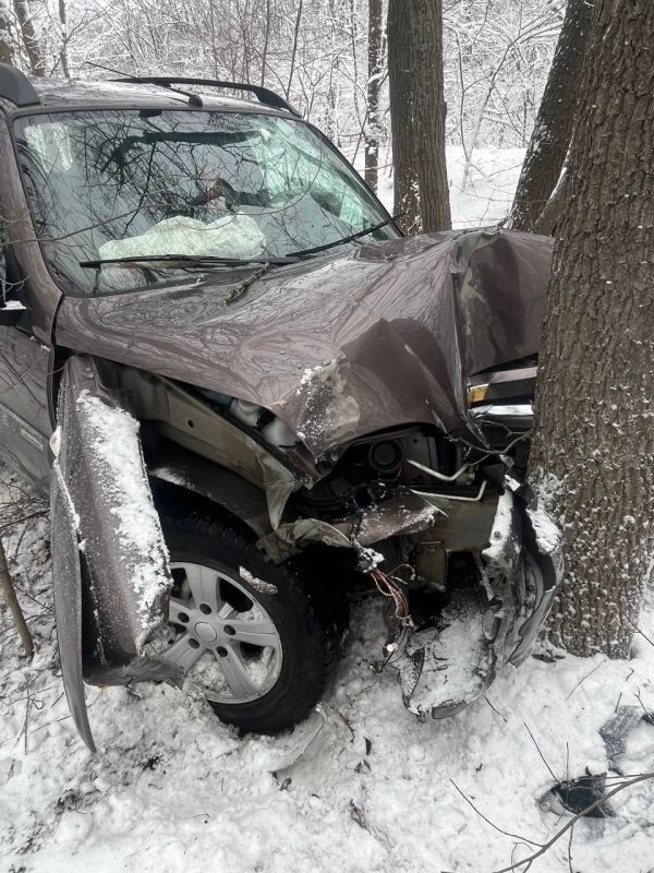    Фото: региональная полиция