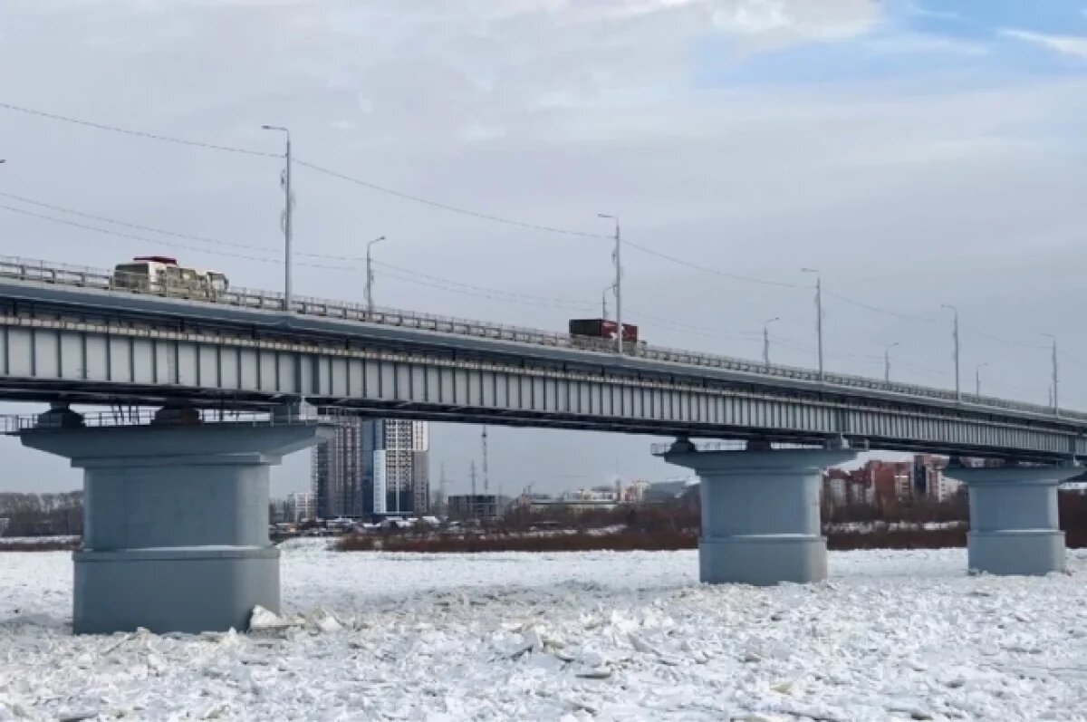    Фото: Дмитрий Еланаков