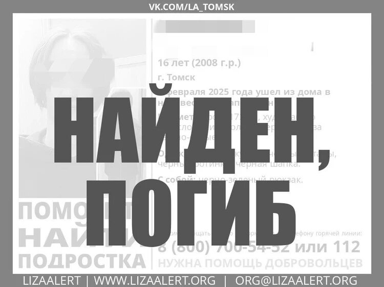     Фото: Лиза Алерт Томской области