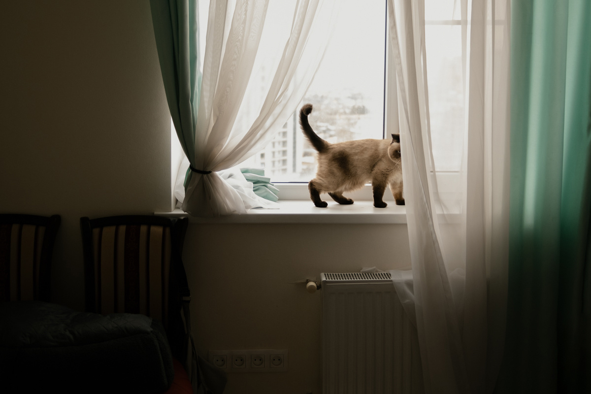 Беляш прячется от фотографа
Фото: Виген Аветисян для ТД