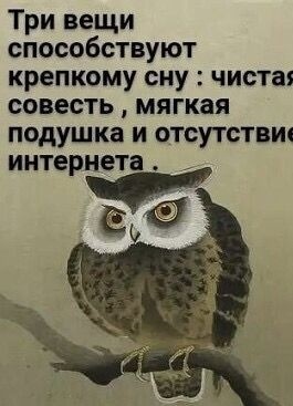 Фото из Pinterest. Мне присутствие интернета мешает))).