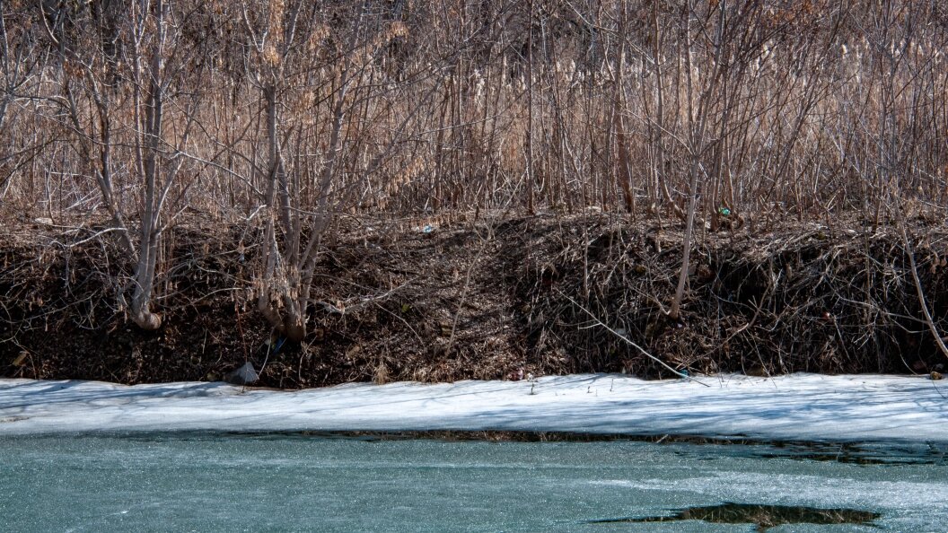    Svetlana Vozmilova/Global Look Press/Globallookpress