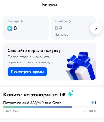 Раздел бонусы