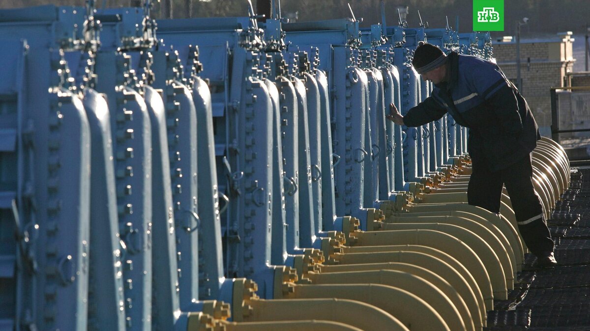    Фото: Associated Press © 2025, Sergei Grits