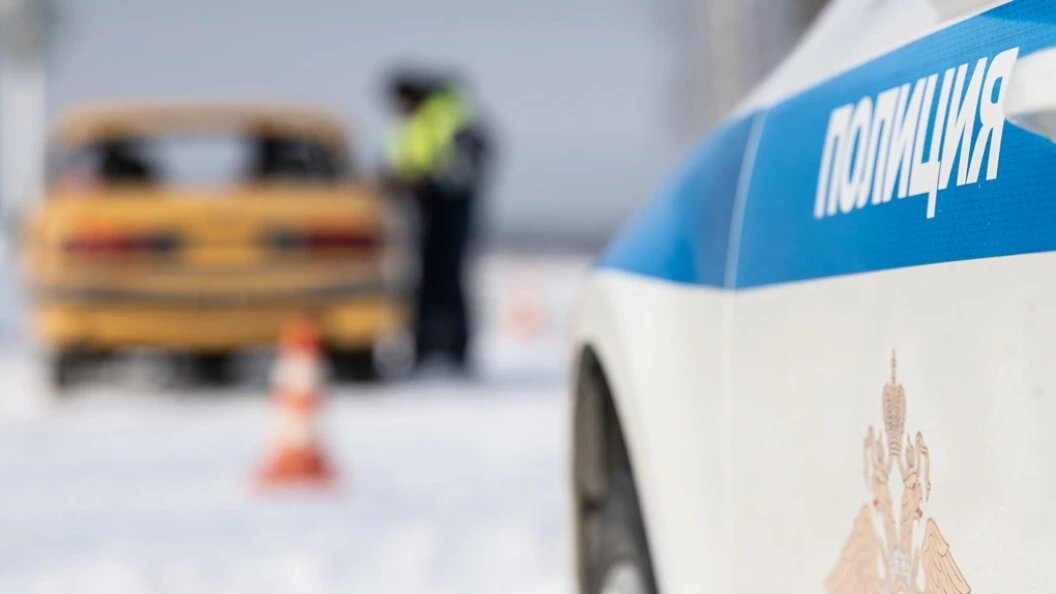    Фото: Ilya Moskovets/URA.RU/Globallookpress